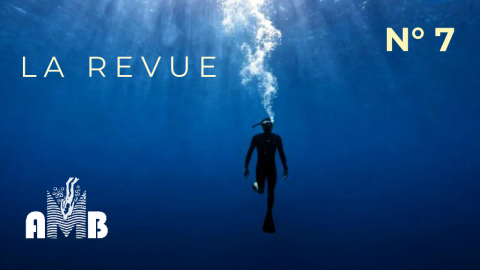 1ère Page du journal